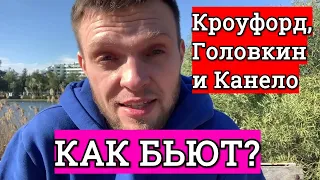 КАК БЬЮТ ПРОФИ? Канело, Кроуфорд и Головкин. ТАЗ ОБГОНЯЕТ ПЛЕЧИ? СУБЪЕКТИВНОЕ МНЕНИЕ.