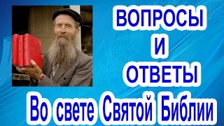 Вопрос о голубях и ответ с любовью к ним. 27. 04. 2021