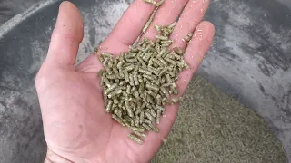тест гранулятора по травяной муке