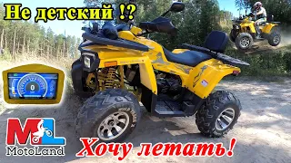 Квадро хит сезона 2020! Обзор и тест-драйв квадроцикла MotoLand 200 Wild Track X PRO (2020 г.)