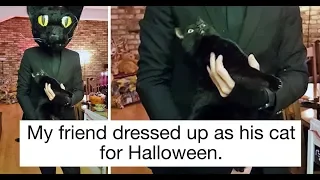 20+ People Who Are Almost Too Obsessed With Their Pets