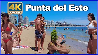 【4K】WALK  Punta del Este 2022 URUGUAY 4k video Travel vlog