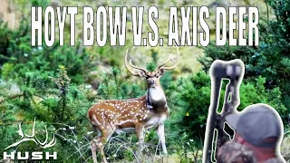 HAWAII: DIY Archery Axis Deer Hunt - Eat WILD Game!