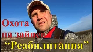 Охота на зайцев - Реабилитация