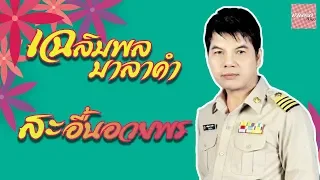 สะอื้นอวยพร - เฉลิมพล  มาลาคำ [Official Audio]