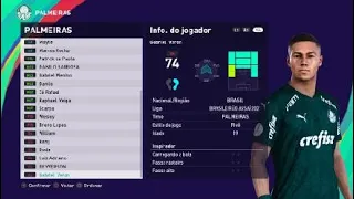 Palmeiras, o campeão do Século!! Cópia da base.