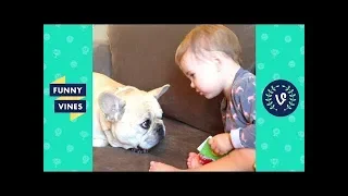 TRY NOT TO LAUGH - Funny BABIES and ANIMALS Compilation | Funny Vines August 2018