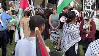 After tear gas the day before, Pro-Palestinian protesters return to USF