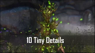 Skyrim: Yet Another 10 Tiny Details That You May Still Have Missed in The Elder Scrolls 5 (Part 8)