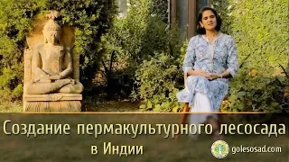 Создание пермакультурного лесосада в Индии! Аанандаа