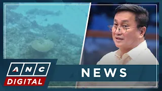 Tolentino: Coral harvesting in West PH Sea 'prelude' to reclamation | ANC