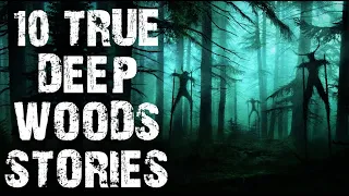 10 TRUE Dark & Disturbing Deep Woods Horror Stories  | Scary Stories To Fall Asleep To