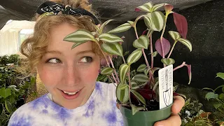 Fill Your Plant's Bald Spot! How to Grow Full Trailing Plants