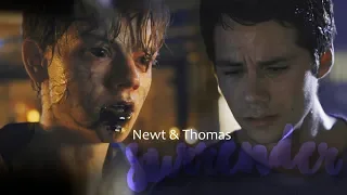 Newt and Thomas || Surrender