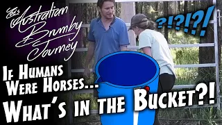 If Horses Were Humans - What's In The Bucket?? pony tantrums, horse, funny human horse, pretend