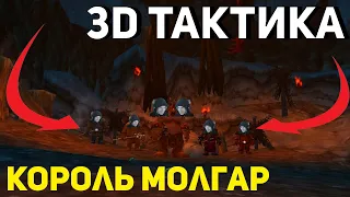 3D Тактика на Королей Молгар - Логово Грулла Wow Sirus