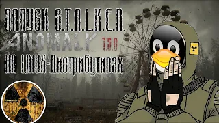 Как запустить STALKER ANOMALY на Linux