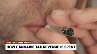 Getting Answers: where does the state’s marijuana tax revenue go?