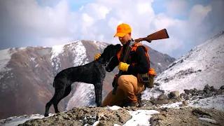 Colorado Ptarmigan | The Flush: Season 13, Episode 3