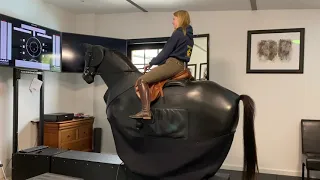 Horse simulator