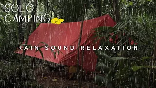 CAMPING ALONE IN THE FOREST IN HEAVY RAIN | Hangat Masak Deket Api & Hampir Disengat Kalajengking!