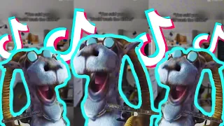 Did I, Did I *Goat Hoodwinked* (Funny TikTok Meme) - TikTok Compilation