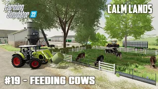 Buying Materials For Furniture Production & TMR Food Mixer - #19 Calm Lands - Farming Simulator 22