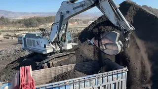 Liebherr 984 Excavator Loading Coal On Trucks With 2 Passes - Sotiriadis/Labrianidis Mining Works