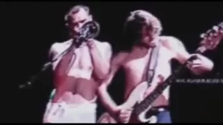 Red Hot Chili Peppers - John Frusciante on Bass and Flea on Trumpet 2005