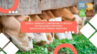 Запись вебинара от 13 июля 2021 года