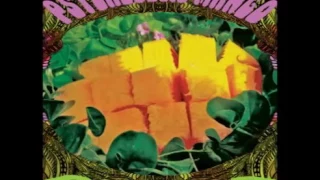 Pond - Psychedelic Mango (FULL ALBUM 2008) HD Audio
