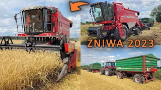 #VLOG Żniwa 2023 rozpoczęte /Akcja jęczmień ozimy z Jockerfarm/ MF 7244/ Masek/Gwizdek/Szeroki