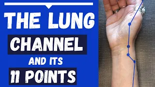 The Lung Channel Meridian and 11 Lung Acupuncture Points (Functions & Locations)