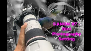 CANON R7 - Bird Photography Setting