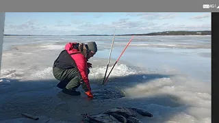 Talviverkoilla Pielisellä 15.3.24.   kuha liikkuu ja vesi lentää