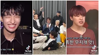 Seventeen Tiktok Compilation that will brighten your day 🌞🌞🌞