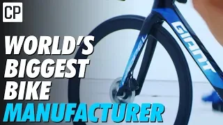 How Giant Became The World's Biggest Bike Company