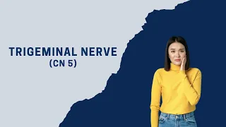 TRIGEMINAL NERVE (CN5) - Visual Mnemonic for High Yield USMLE facts!