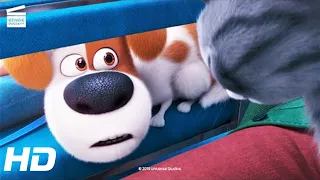 The Secret Life of Pets 2: Max goes to the vet