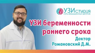 УЗИ раннего срока беременности. Доктор Романовский Д. М.