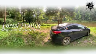 Forest Fishing - Форест Фишинг. Платный водоем на котором водятся Огромные Карпы!! Рыбалка в М. обл.