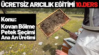 KOVAN BÖLME NEDİR? PETEK SEÇİMİ NASIL YAPILIR? ANA ARI ÜRETİMİ?ÜCRETSİZ ARICILIK EĞİTİMİ 10.DERS