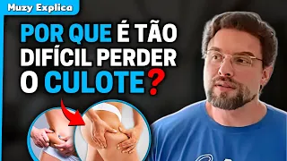 CULOTE | Muzy Explica