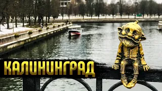 КАЛИНИНГРАД в ноябре. Первые впечатления