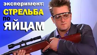 Галилео. Эксперимент. Стрельба по яйцам / Experiment: Eggs Shooting