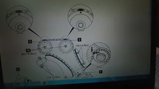 timing belts.cinghia distribuzione. curea distribuție KIA ceed 1.6 crdi 85 kw (d4fb)