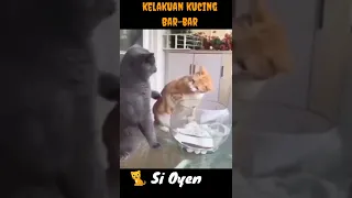 9 Menit tapi imut,TAHAN TAWA !! kaum barbar! Video kucing lucu bikin ngakak sakit perut 🤣