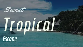 🏖️ Secret Tropical Escape 🏖️: Relaxing Sounds, Sleep Prompter, Stress Relief, Meditation Use