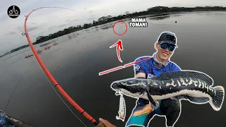 Hunting MAMA TOMAN At Lower Seletar Reservoir !! - EP114