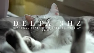 Delta Waves(Relax, etc) - 3Hz Binaural Beats(with carrier tone at 400Hz), Accompanied by Cat Purring